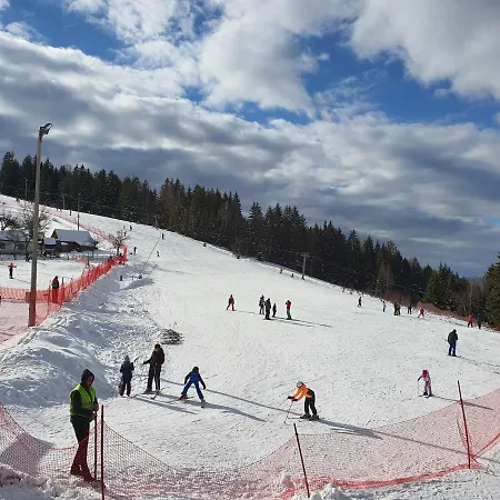 Neda Zlatar * Nova Varos