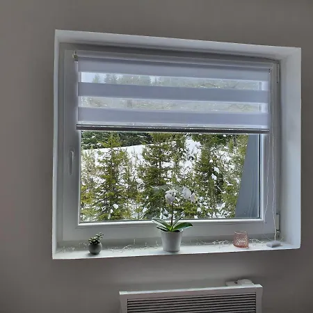 Neda Zlatar * Nova Varos