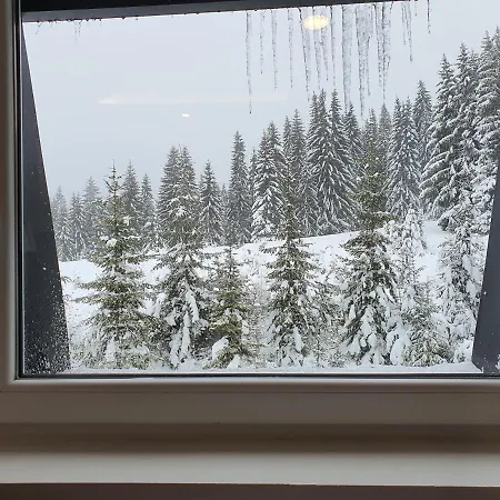 Neda Zlatar Apartment